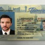 fake id drivers license profile picture