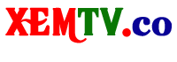 QHTV HD Trực Tuyến | Kênh QHTV Online | Xem QHTV Trực tiếp TV