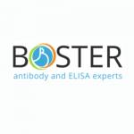 Boster bio