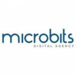 micro bits