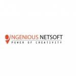 Ingenious Netsoft