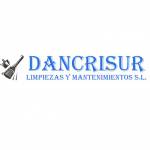Dancrisur servicios de limpieza