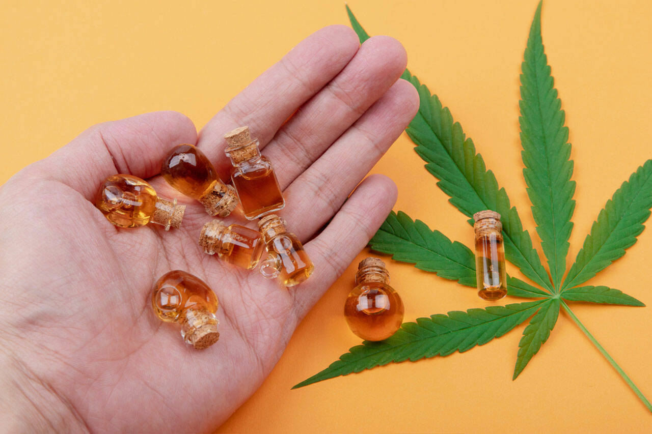 Best CBD Cream: Review Top CBD Pain Relief Creams & Balms | The Daily World