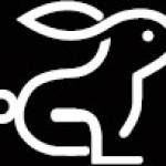 Hire Escort
