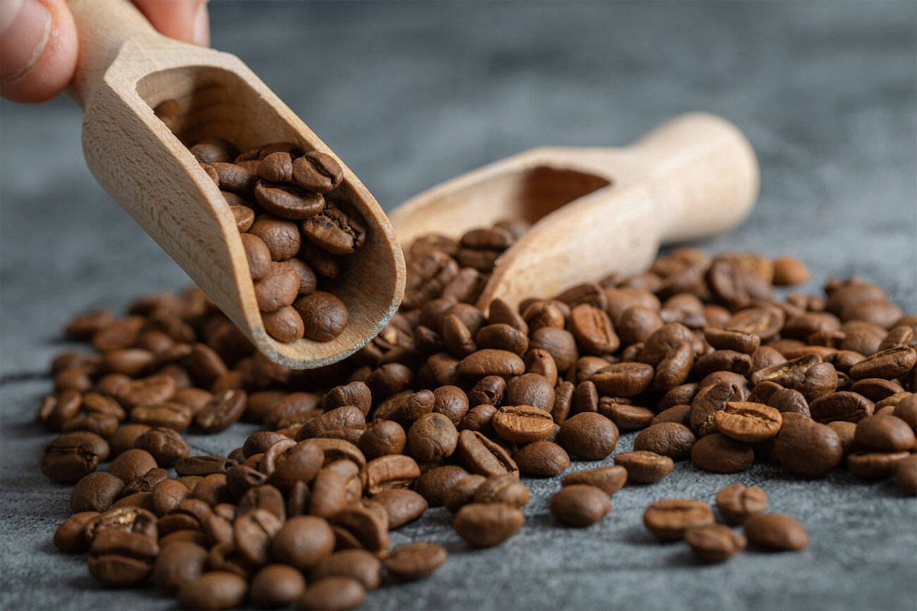 Best Healthy Coffee Brands: Top Coffee Products to Choose From | Seattle Weekly