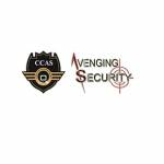 Avenging Security
