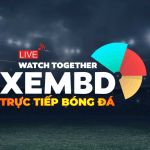 xem bdbongda