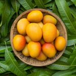 Class 12 Maths NCERT Solutions: The Step-by-Step Guide