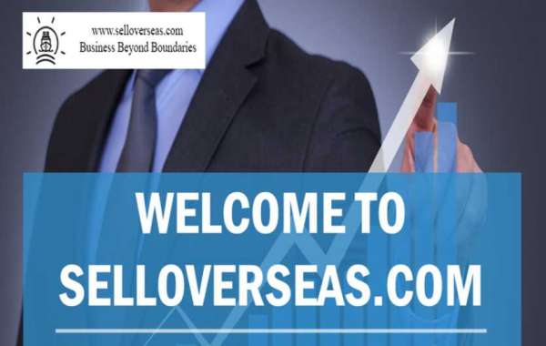 Company Looking for Distributors: How to Choose Right One For You