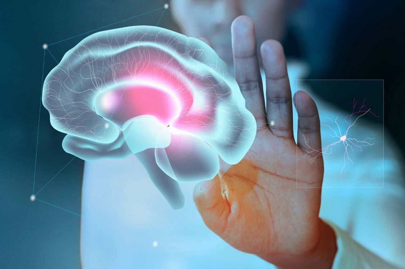 Best Nootropics - Most Effective Nootropic Supplements That Work | Vashon-Maury Island Beachcomber