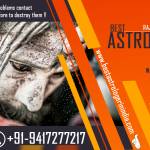 Best Astrologer in India