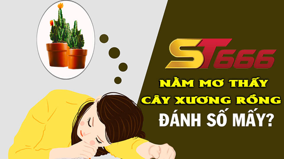 Nằm Mơ Thấy Cây Xương Rồng Đánh Con Gì Dễ Ăn Lô Nhất?