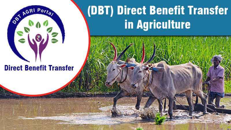 DBT Agriculture | Direct Benefit Transfer in Agriculture
