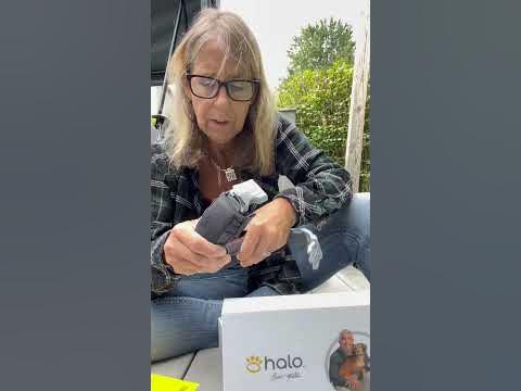 Hidden Features of the New Halo Collar 3 You Must Know | Unboxing and Demo by @KarmaDogSpeak - YouTube