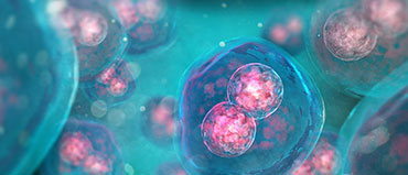 3D Cell Culture Market Size, Share, Trends and Revenue Forecast [Latest]