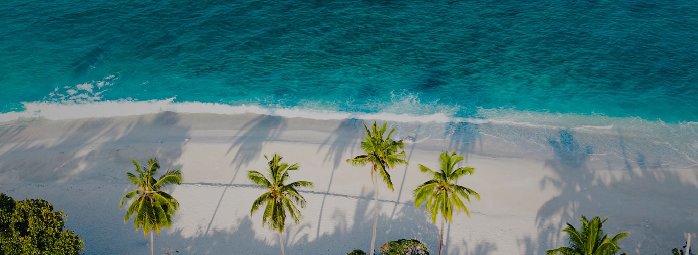 Get the Best Travel Deals To India - Travelolog.com