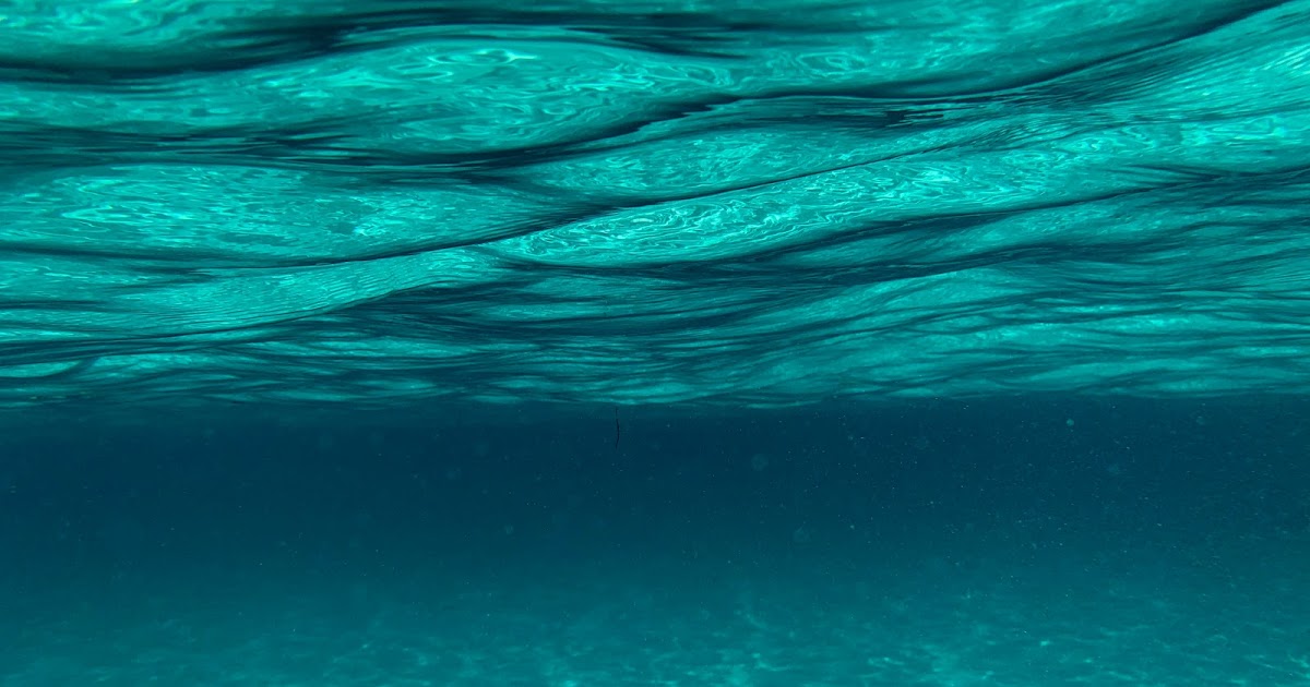 Things to consider for underwater photography