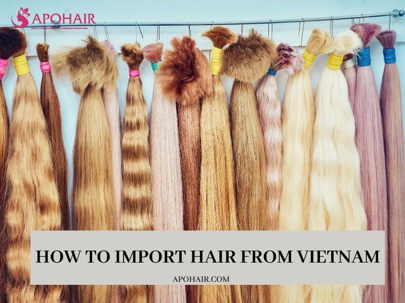 How To Import Hair from Vietnam: Guide For Beginners | Apohair
