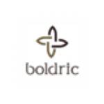 Boldric INC Profile Picture