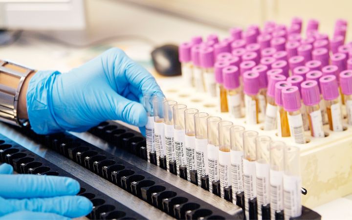 Labels from 2 days | Custom Shape & Any SIze | Labelprint24