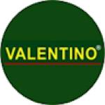 VALENTINO INDIA Profile Picture