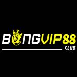 BONGVIP TRANG CHU BONGVIP Profile Picture