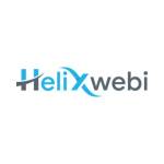 Helixwebi Web Designing Company Surat Ecommerce Web Developer