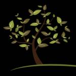 Pikeville Family Dentistry Profile Picture