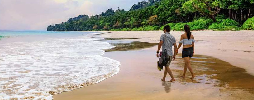 Tour Operator In Andaman