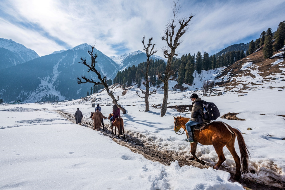 Best Kashmir Tour Packages From Mumbai {2025}