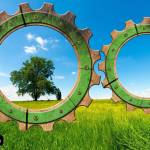 Numan Ali Profile Picture