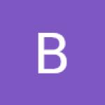 Bhartiya Aviation services