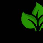 eco Boiler Grants
