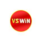 VSWIN