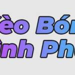 Kèo Bóng Đá Bình Phước Soi Kèo Bóng