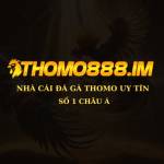 THOMO888 Nhà cái đá gà