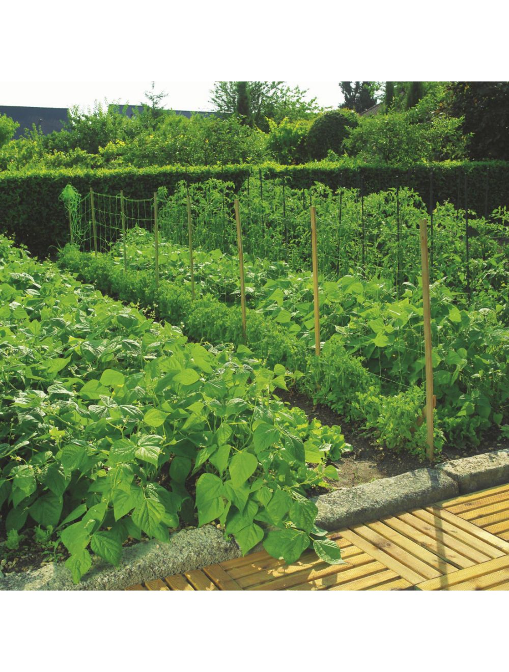 UV Stabilized Trellis Net With 2m Hight - Netting Store