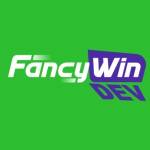 Fancywin dev
