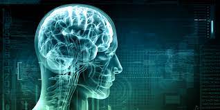 The Role Of Neuroplasticity In Stroke Recovery With Bcis – Recoverix – Neurorehabilitation for Stroke & Multiple Sclerosis