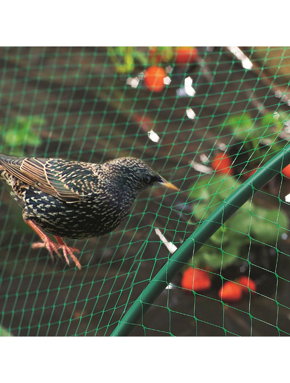 Lightweight Green UV Stabilised Anti Bird Pond Garden Netting - Netting Store