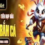 77Bet Cổng Cá Cược Uy Tín