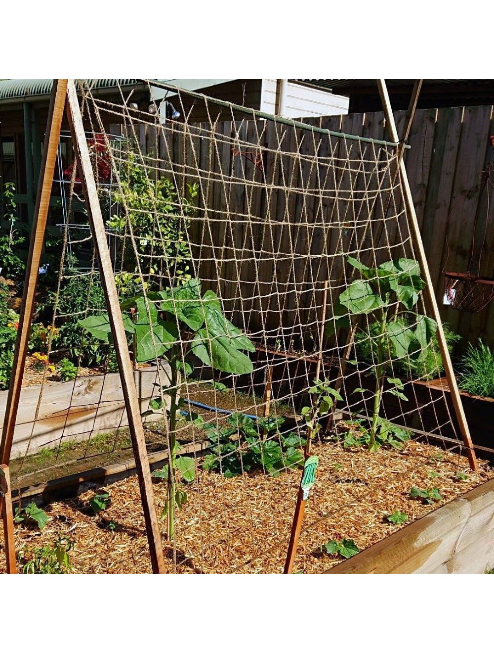 Natural Jute Pea & Bean Biodegradable Netting` - Netting Store