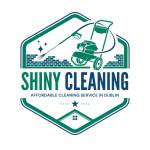 Shiny Cleaning