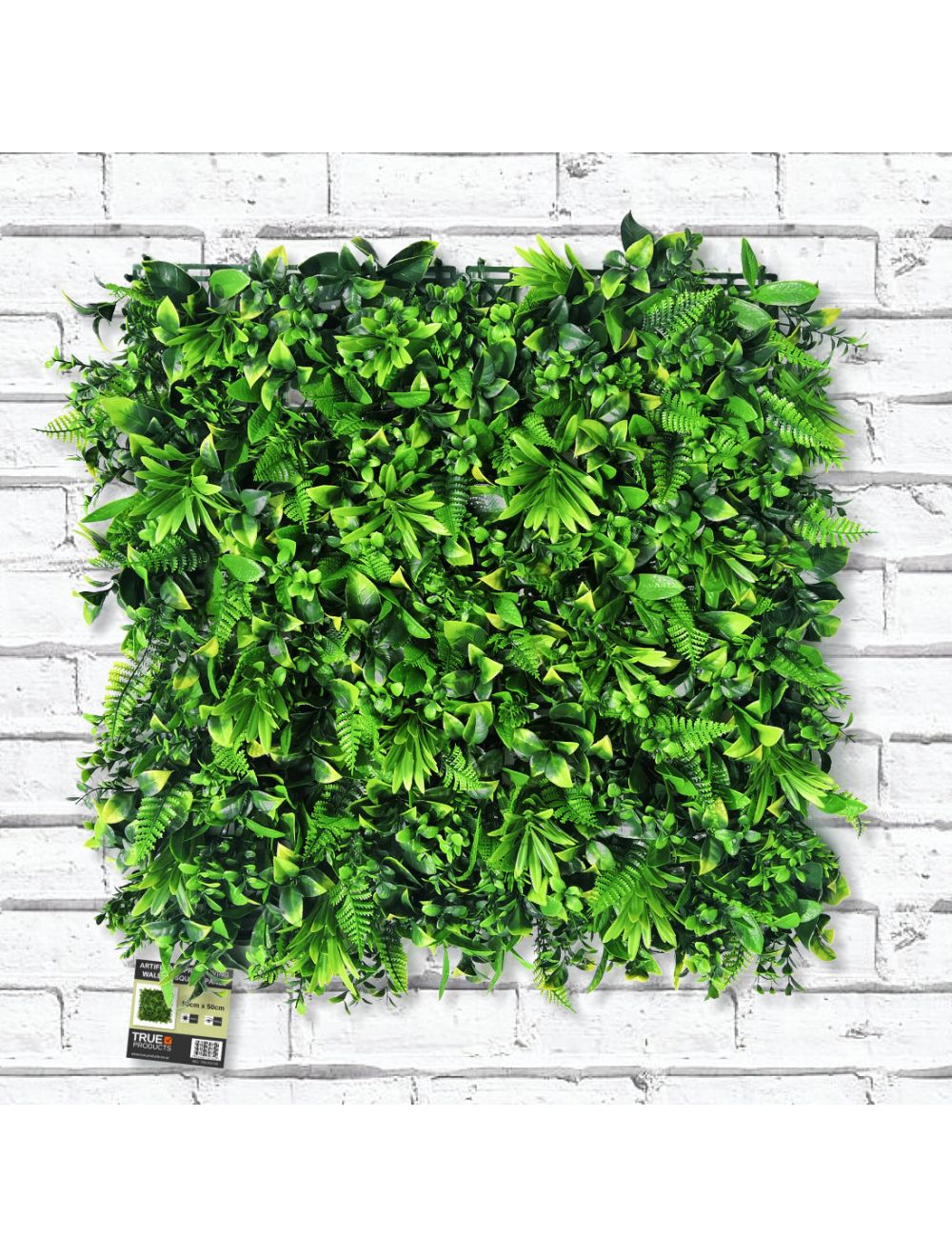 High Quality White Green Fern Living Wall Panel 50 x 50cm - Netting Store