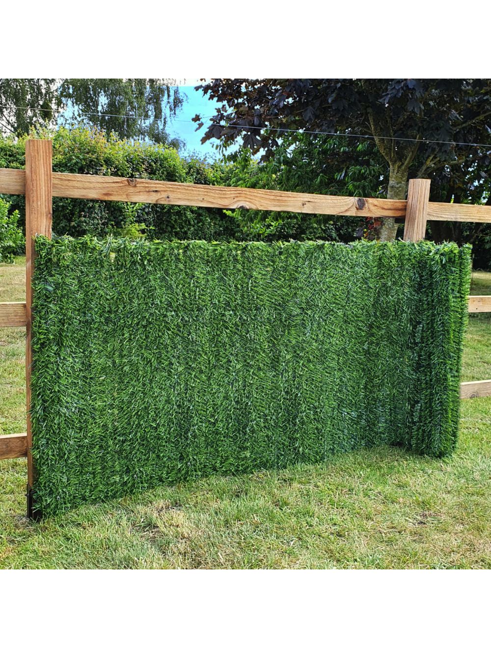 Conifer Hedge Garden Fence Privacy Screening - 1.5m x 3m - Netting Store