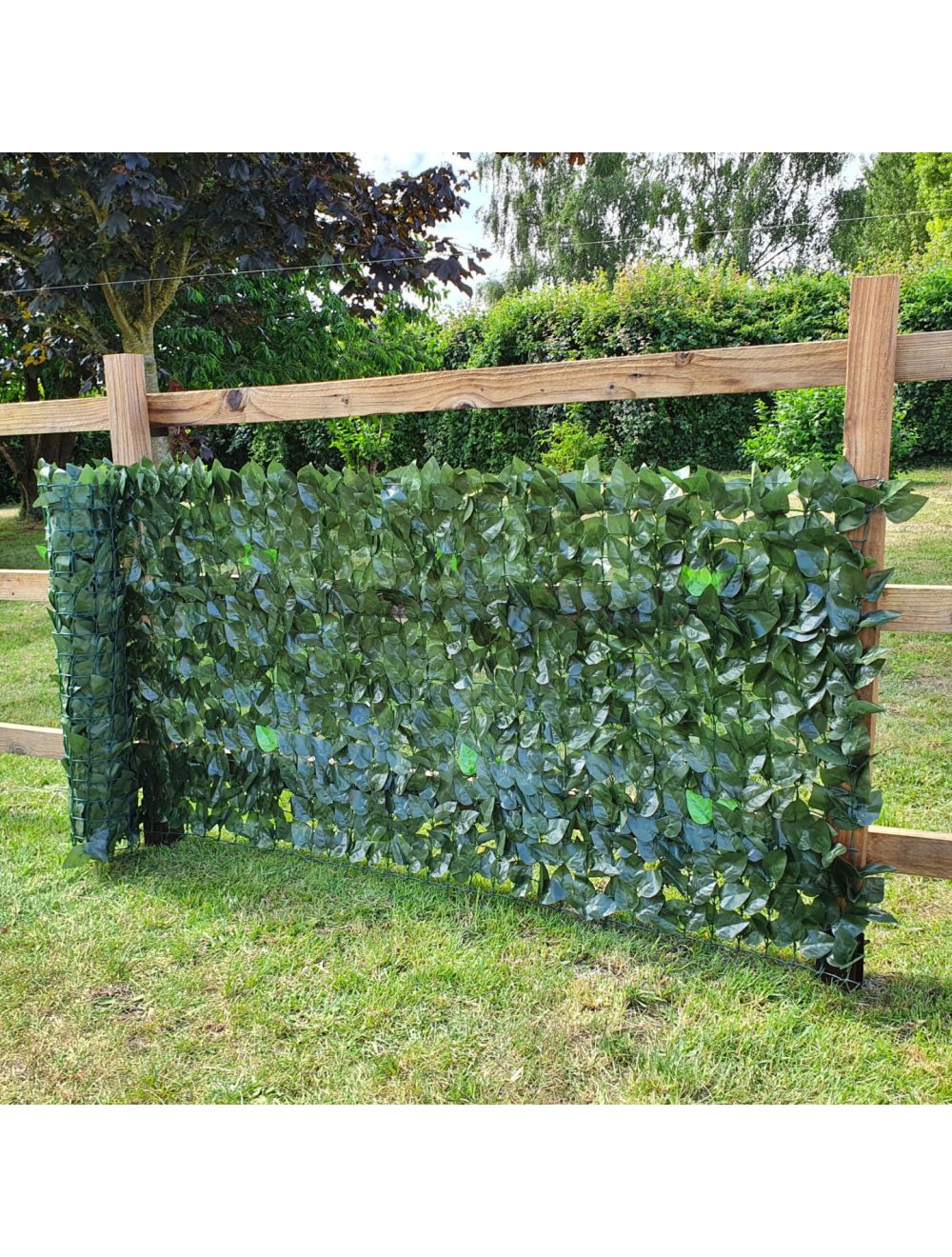 Ivy Two Leaf Garden Privacy Screening With 12 Green Cable Ties- 1.5m x 3m - Netting Store