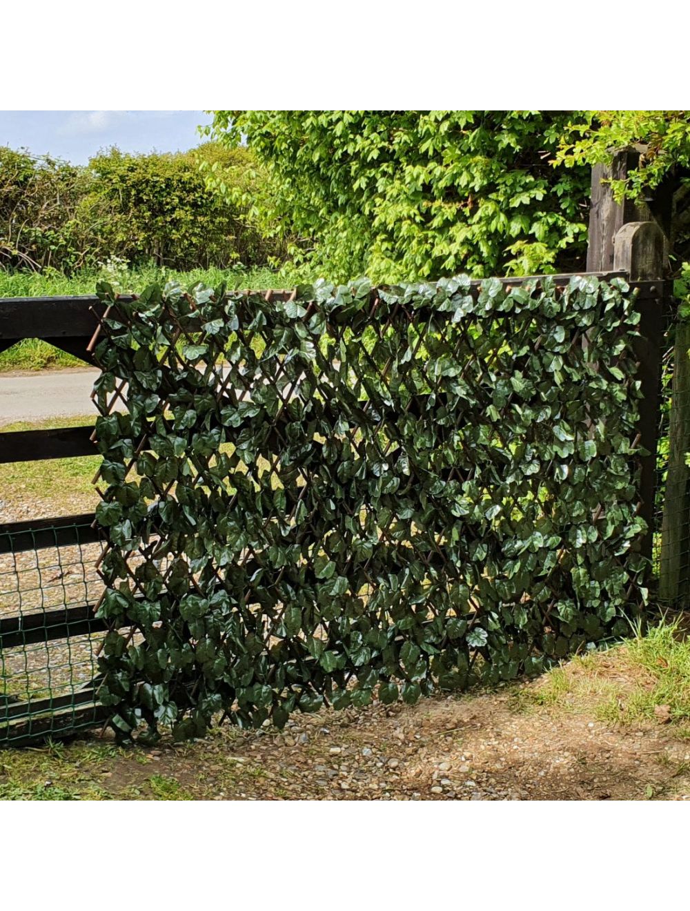 Realistic Maple Leaf Ivy on Expanding Willow Trellis - 1m x 2m - Netting Store