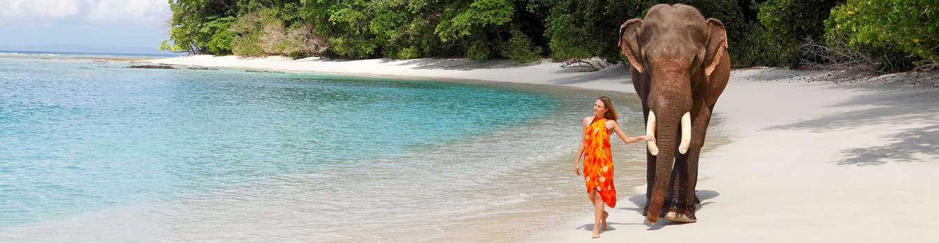 Best Andaman and Nicobar Islands Group Packages {2025}