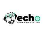 echoblinddog