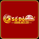 sodo netco